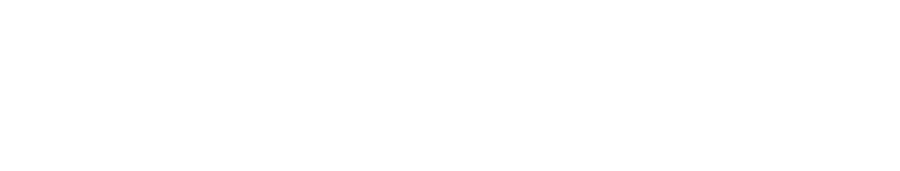 DYNAMIK INDUSTRIES CO.